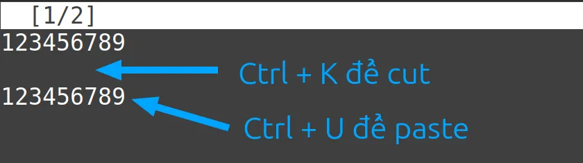 13 ví dụ sử dụng lệnh nano trong Linux hữu ích 46 Dòng đầu tiên được sao chép vào dòng thứ hai như hình dưới