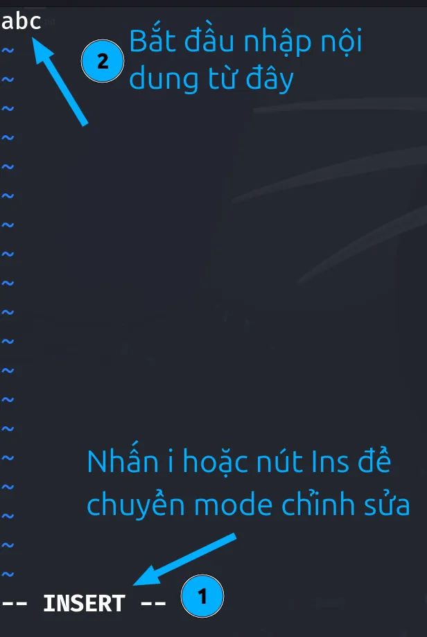 File đang ở chế độ Insert