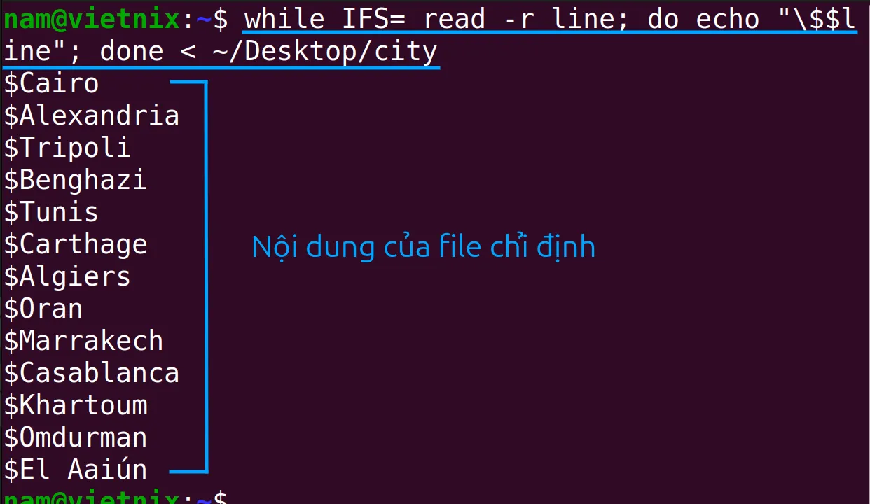 Lệnh đã đọc từng dòng một từ file city và hiển thị ra