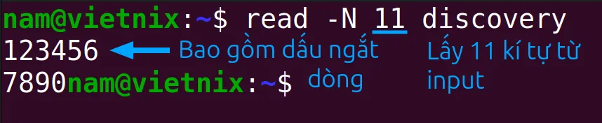 Lệnh đọc tối đa 11 byte và lưu vào biến có tên discovery