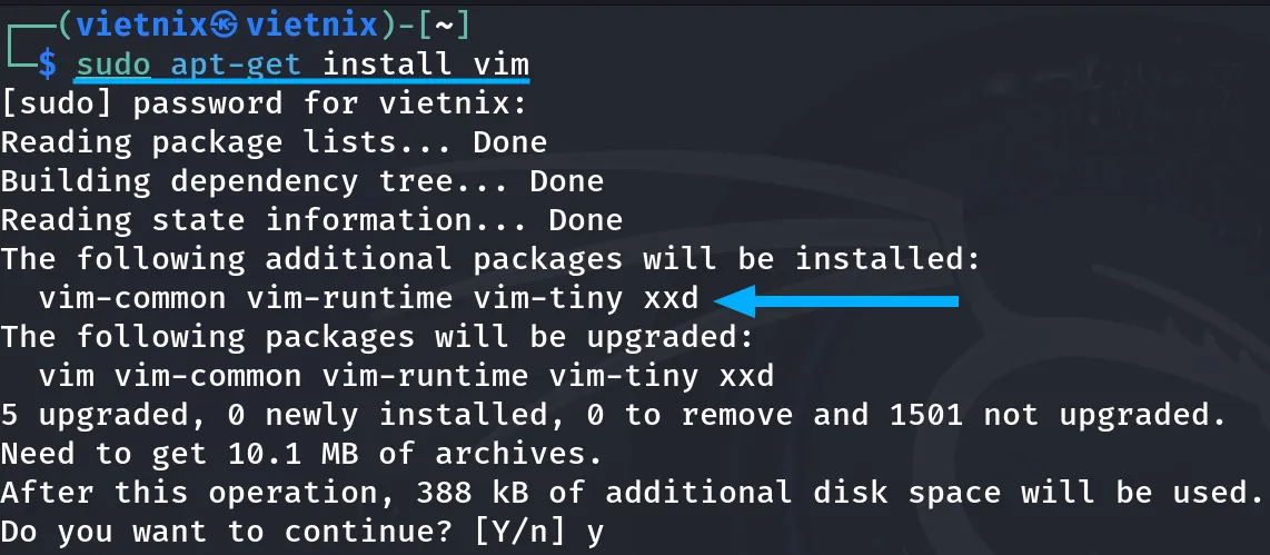 Lệnh vim đang được cài đặt