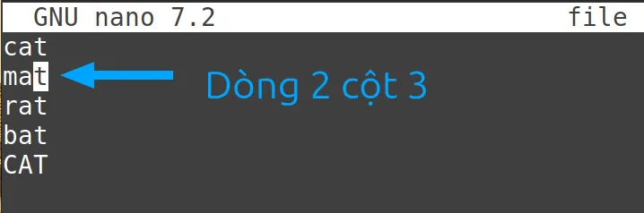 13 ví dụ sử dụng lệnh nano trong Linux hữu ích 55 Mở file và di chuyển đến dòng và cột cụ thể
