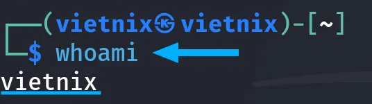 Người dùng vietnix