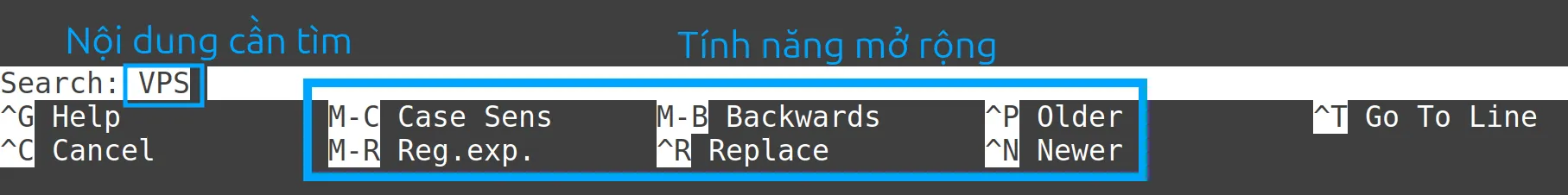 13 ví dụ sử dụng lệnh nano trong Linux hữu ích 48 Nhập từ cần tìm (VPS) và sử dụng các tùy chọn nâng cao