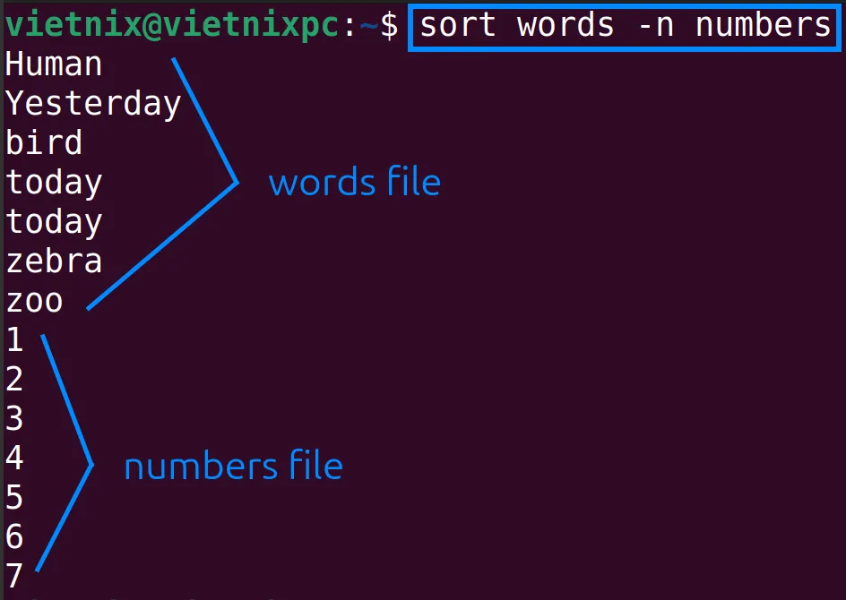 Nhiều file đã được sắp xếp bằng lệnh sort