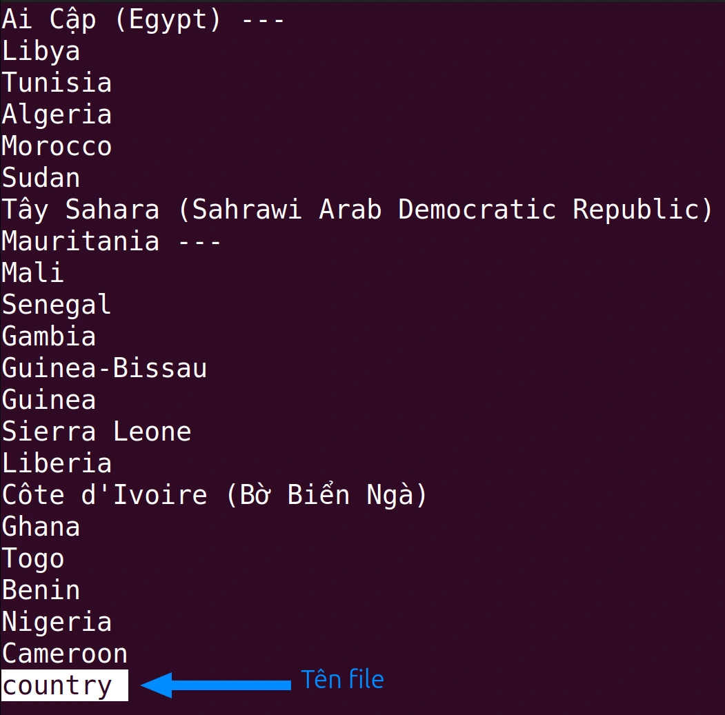Output file văn bản đã được mở