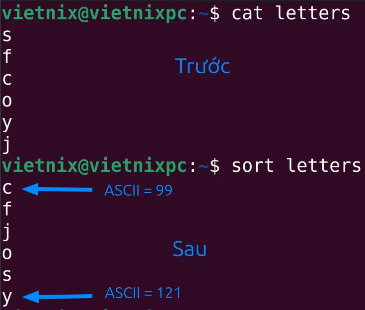 Output kết quả đã sắp xếp tên file