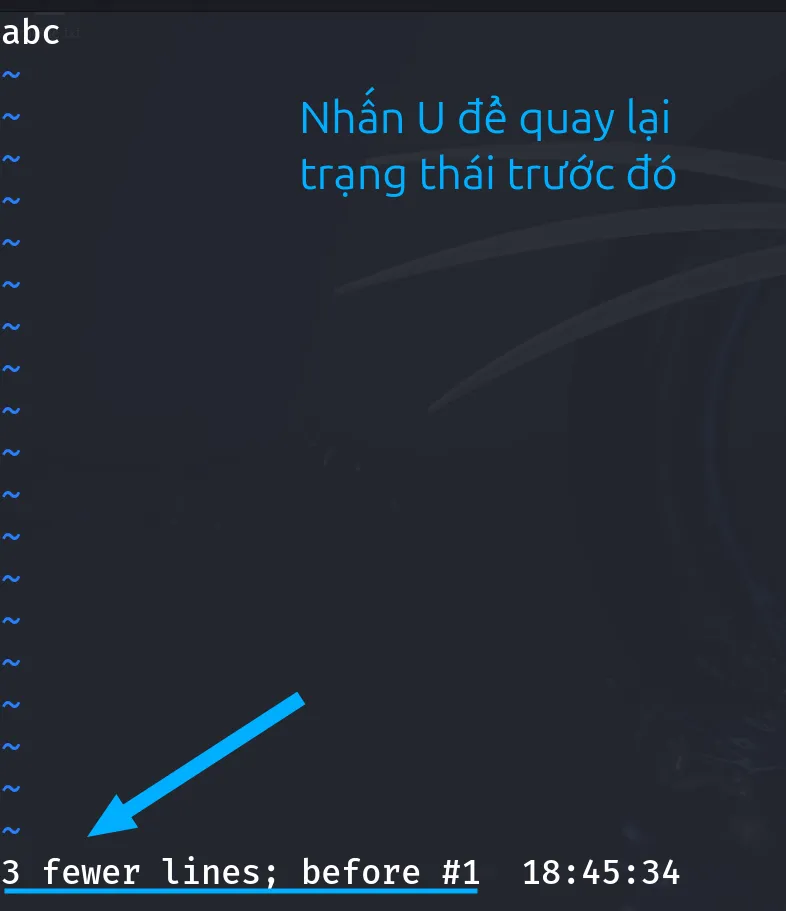 Sau khi hoàn tác dòng chữ biến mất