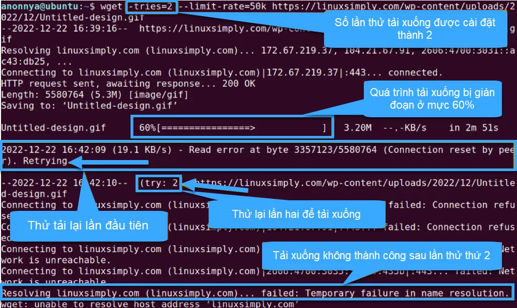 Tìm hiểu lệnh wget trong Linux và 14 ví dụ cụ thể về cách sử dụng dành cho bạn 50 Kết quả khi thiết lập số lần thử lại trong download