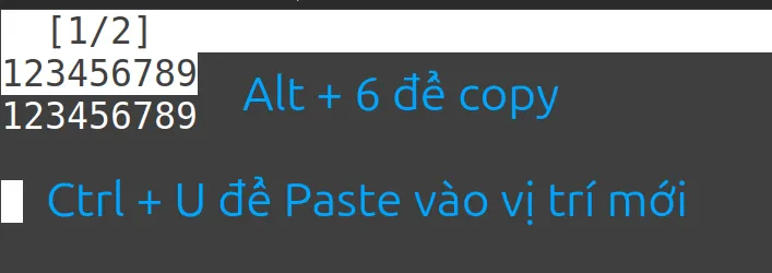 13 ví dụ sử dụng lệnh nano trong Linux hữu ích 45 Thực hiện lệnh để copy, cut và paste