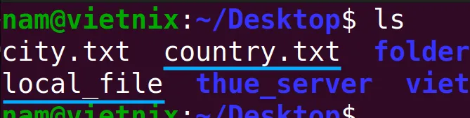 File Local_file nằm trong thư mục Server