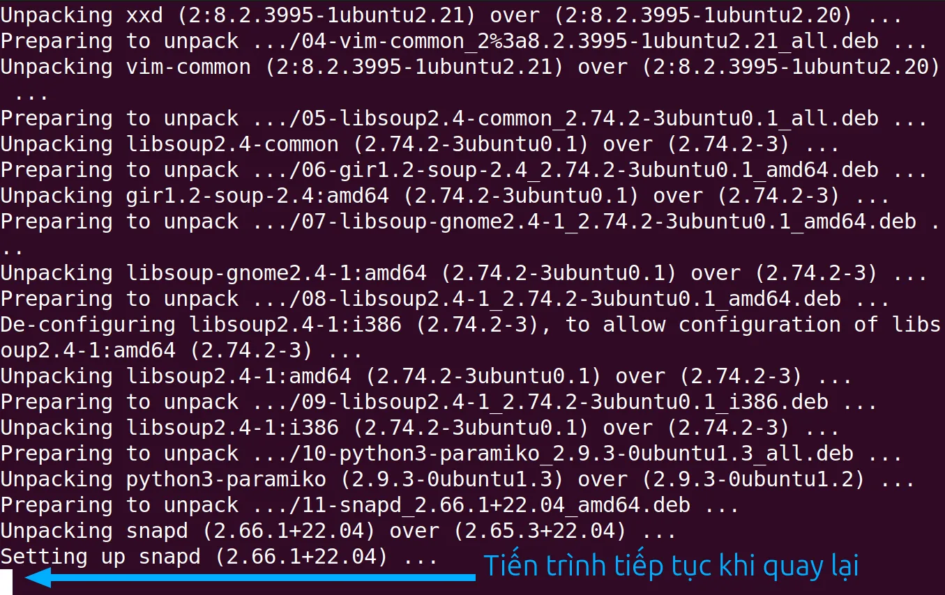 Sau khi kết nối lại các tiến trình vẫn tiếp tục chạy nền