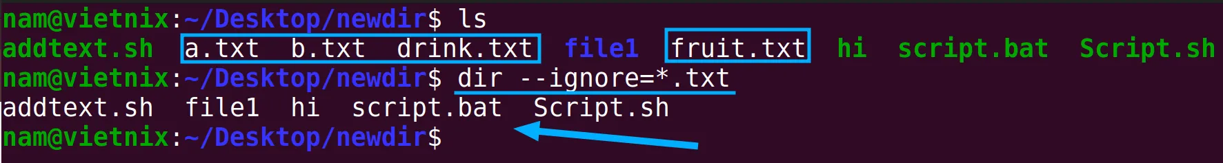 Bỏ qua các file có đuôi .txt với lệnh dir --ignore=*.txt