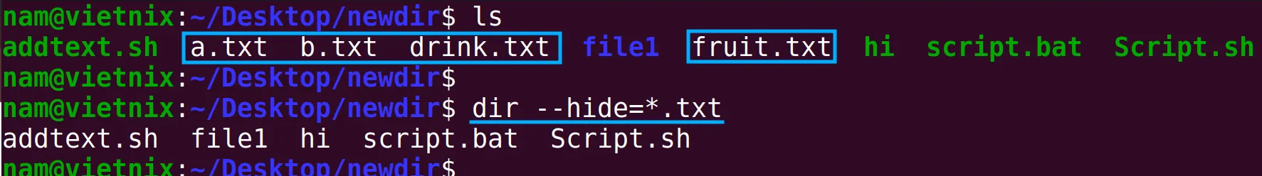 Bỏ qua các file có đuôi .txt với lệnh dir --hide=*.txt