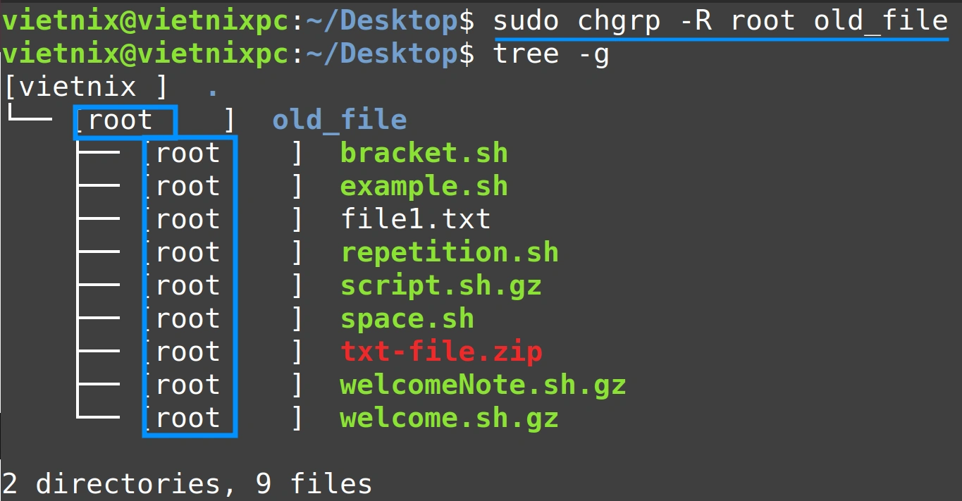 Nhóm sở hữu của thư mục "old_file" và tất cả nội dung bên trong sẽ được thay đổi