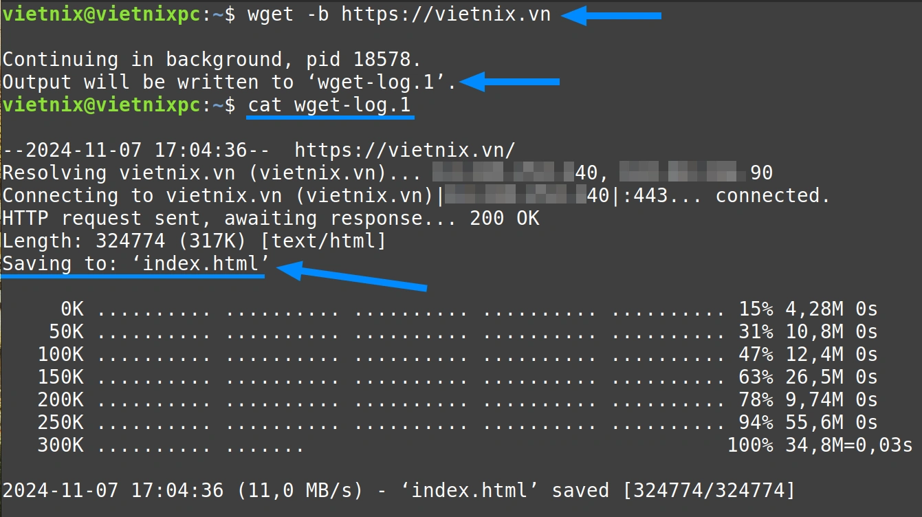 Tìm hiểu lệnh wget trong Linux và 14 ví dụ cụ thể về cách sử dụng dành cho bạn 43 Quá trình download file dưới chế độ nền