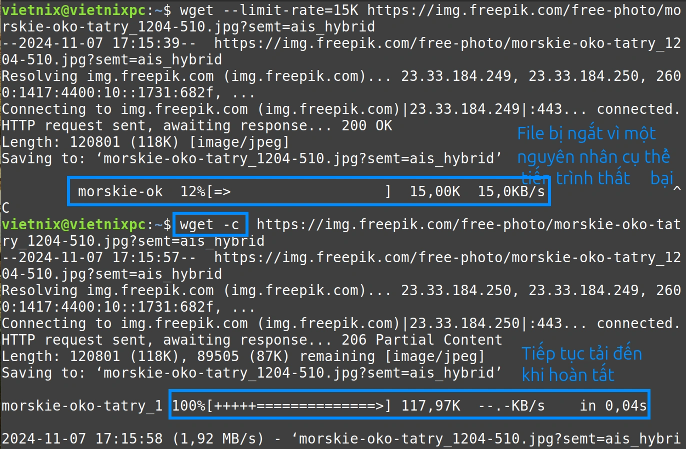 Tìm hiểu lệnh wget trong Linux và 14 ví dụ cụ thể về cách sử dụng dành cho bạn 45 Quá trình tải đã được tiếp tục với lệnh wget
