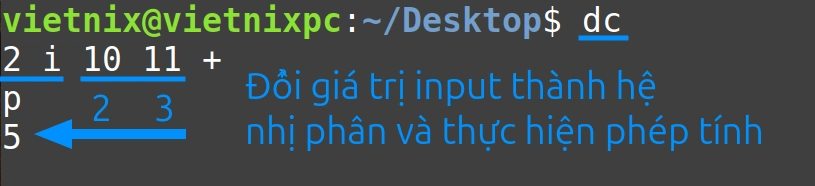 Sử dụng số đầu vào ở định dạng nhị phân