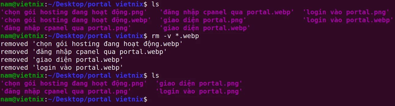 Xóa các file có cùng định dạng