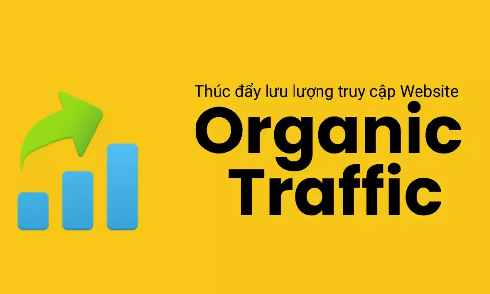 Tăng lượng truy cập tự nhiên (organic traffic)