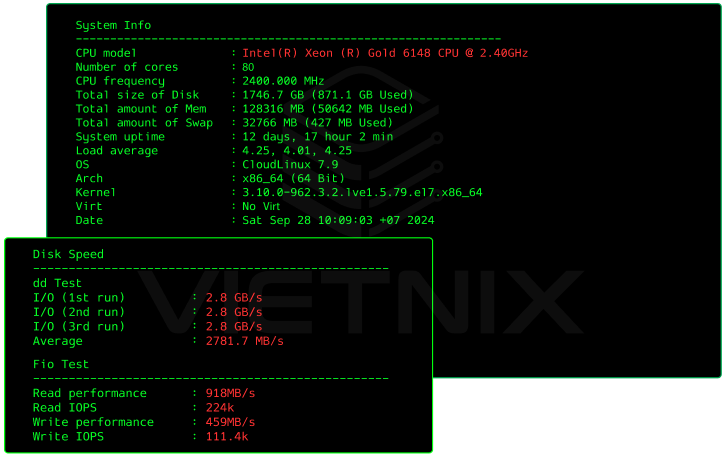 benchmark hosting nvme vietnix