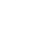15 cách tối ưu PageSpeed đạt từ 90-99 điểm trên Google 14 radial pagespeed