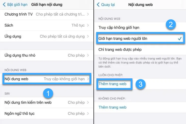 Tìm mục Nội dung trang web và chọn Giới hạn trang web người lớn