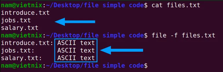 Output hiển thị loại của từng file trong files.txt