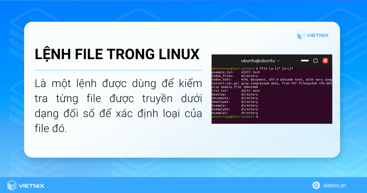 Lệnh file trong Linux kiểm tra từng file được truyền dưới dạng đối số