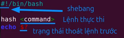 Mã trả về (Exit Status) của lệnh hash