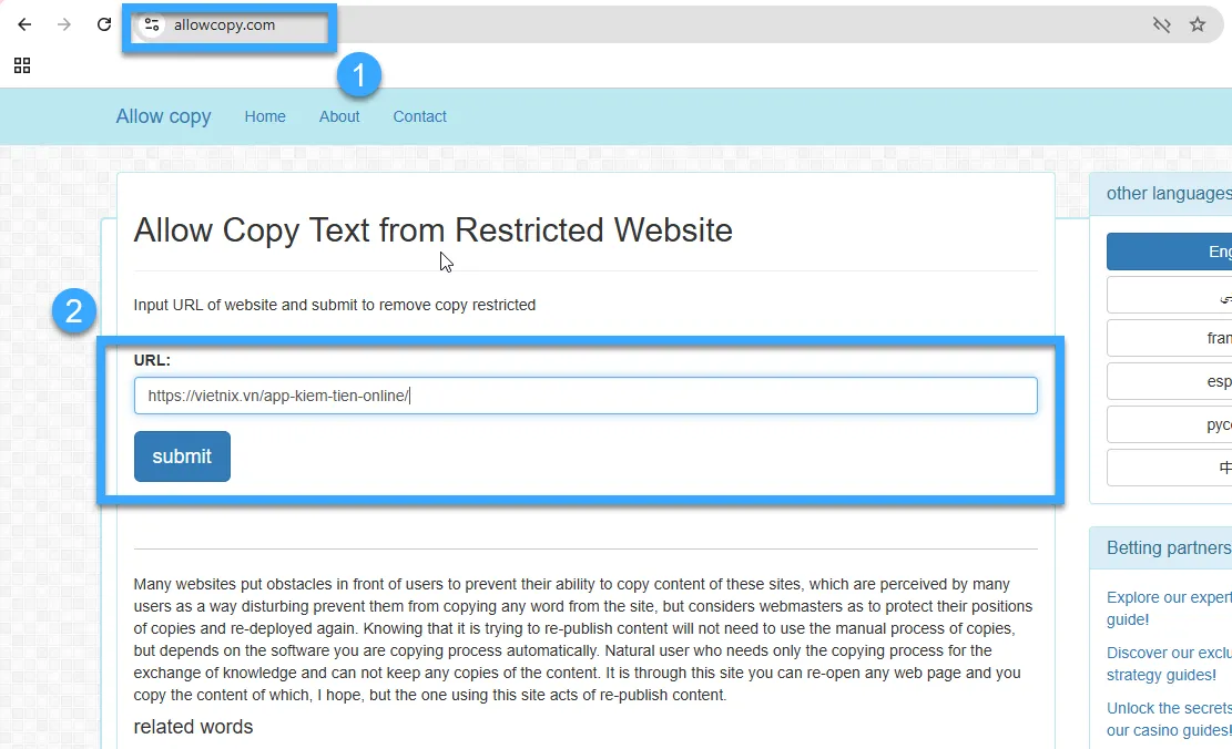 Sử dụng website allowcopy.com