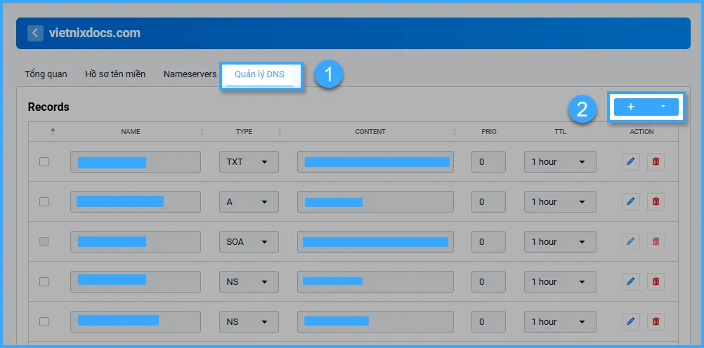 Bạn chuyển sang tab Quản lý DNS và chọn Add (dấu +) để thêm một bản ghi mới