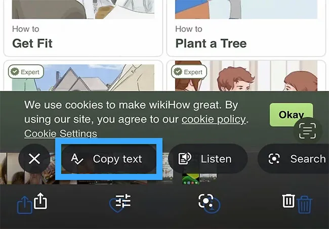 Tùy chọn Copy text xuất hiện ở dưới ảnh