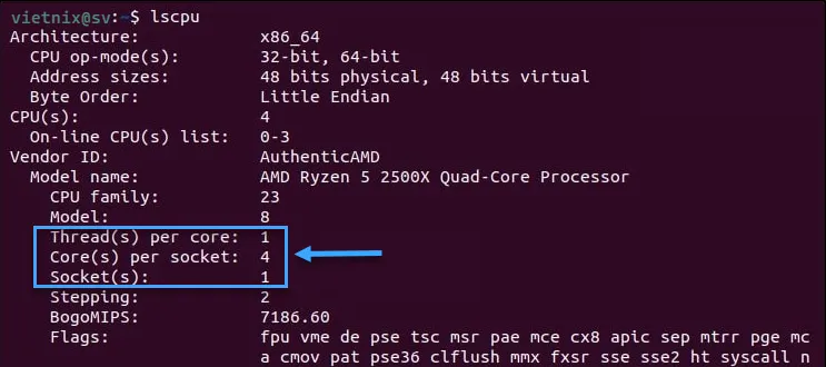 Xem các chỉ số trên Linux