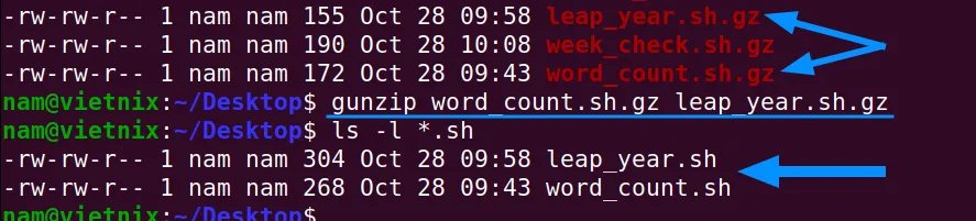 Giải nén nhiều file .gz cùng lúc