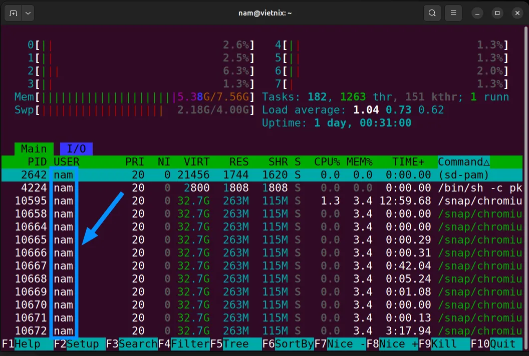 Xem tiến trình của người dùng cụ thể bằng lệnh htop