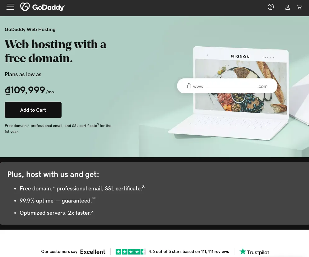 Nhà cung cấp dịch vụ hosting GoDaddy