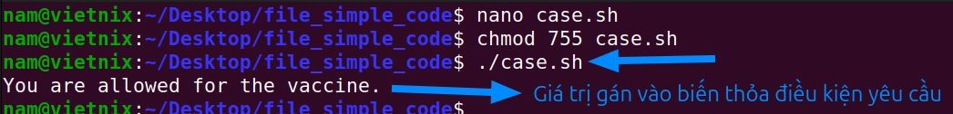 Biến Boolean trong câu lệnh case