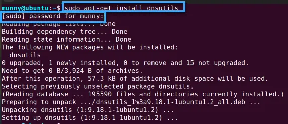 Cài đặt dnsutils trên Ubuntu