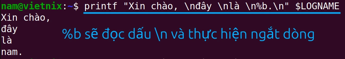 Diễn giải chuỗi escape