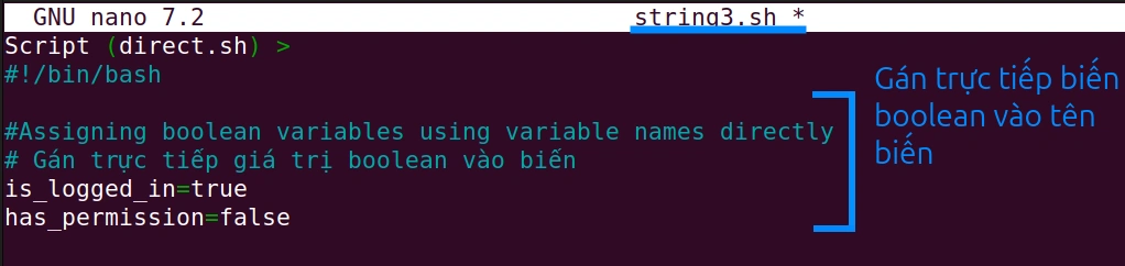 Gán biến boolean vào tên biến