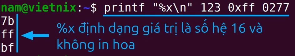 Giá trị số thập lục phân chữ thường