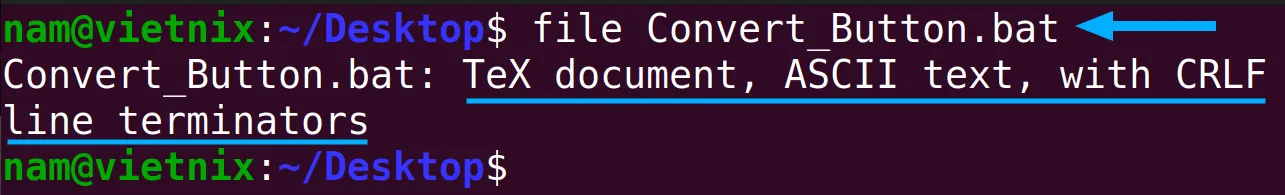 Kiểm tra định dạng file