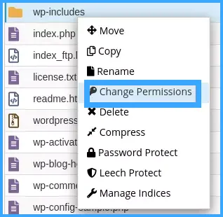 Nhấn chuột phải vào file muốn thay đổi quyền và chọn Change Permissions