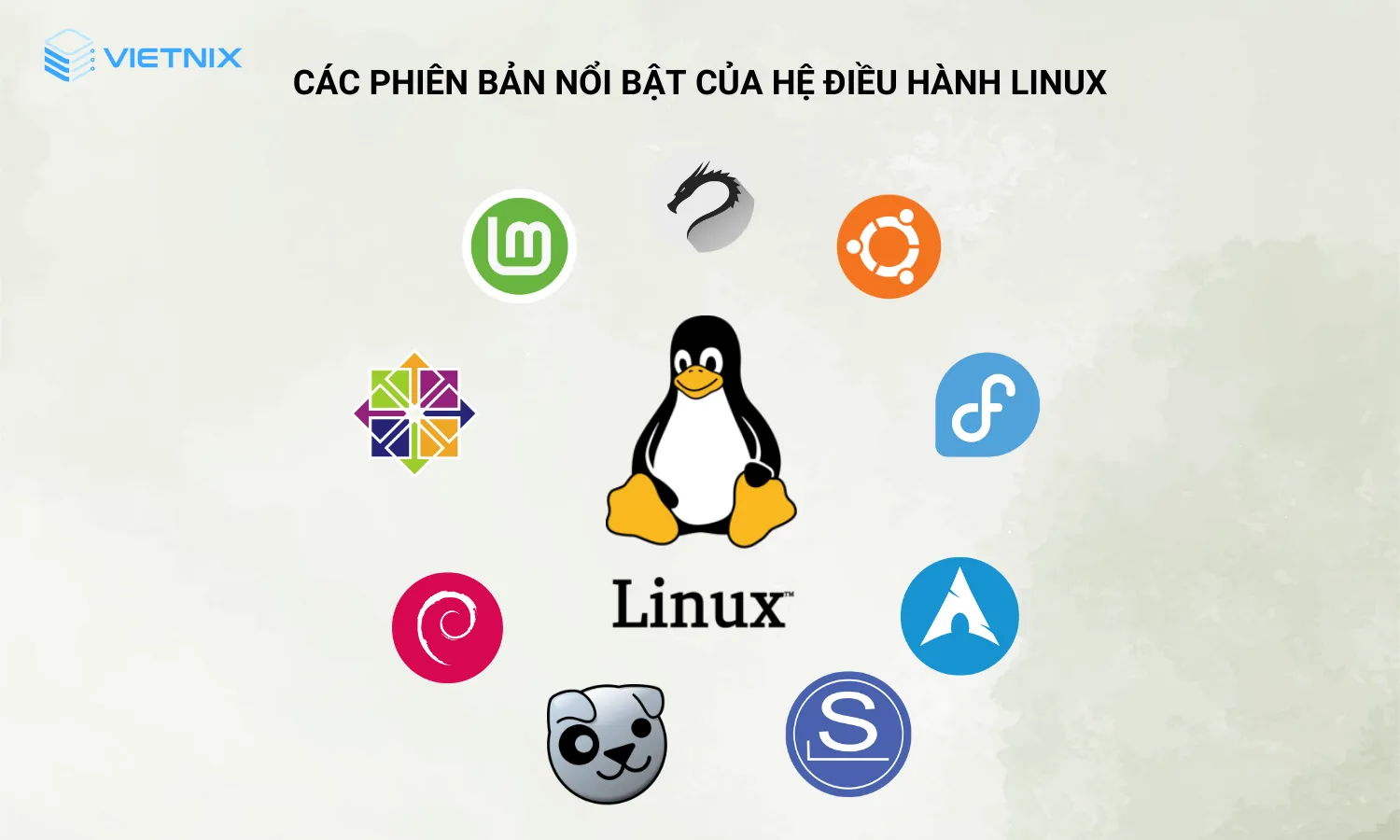 Phiên bản nổi bật của hệ điều hành Linux
