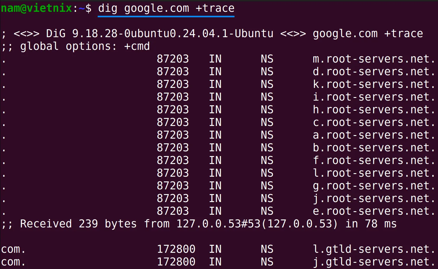 Theo dõi đường dẫn DNS bằng lệnh dig trong Linux
