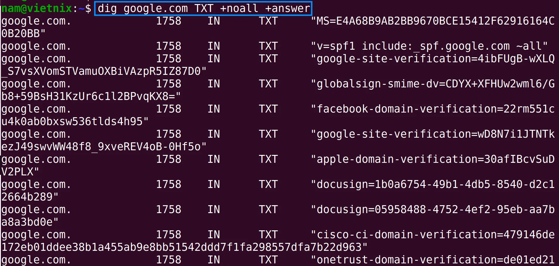 Truy vấn bản ghi TXT bằng lệnh dig trong Linux