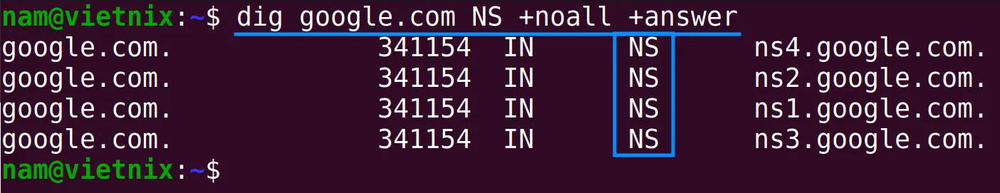 Truy vấn bản ghi NS bằng lệnh dig trong Linux