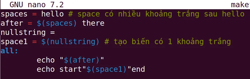 Sử dụng biến nullstring