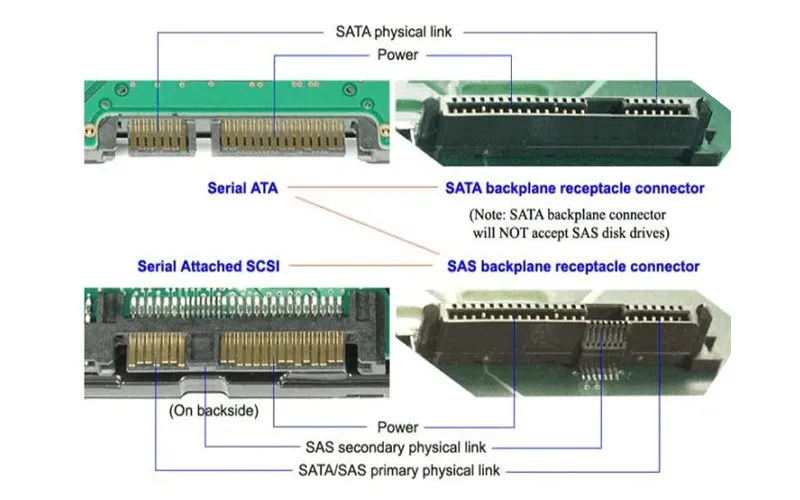 Đặc điểm chuẩn SAS